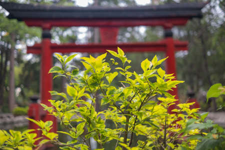 日本風水（家相學）與中國風水的發展與影響