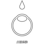 事業運提升秘訣：生肖對應的風水方位選擇與佈局