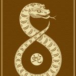 風水水晶與健康能量：選擇最適合你的身心平衡水晶